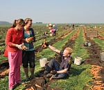 Астраханским фермерам предложили студентов вместо мигрантов 