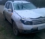 Под Астрахань водитель внедорожника сбил лошадь