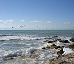 Конвенцию о статусе Каспия могут подписать уже в 2018 году