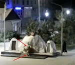 Ребенок осквернил памятник Воинам-интернационалистам в Астрахани: видео