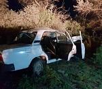 Под Астраханью корова стала причиной смерти водителя