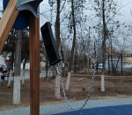 Все для собаки: задержан хулиган, который надругался над трусовским парком