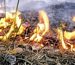 Воскресенье в Астрахани: пожароопасность, гроза и сильный ветер