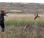 На следующей неделе в Астраханской области начнется сезон охоты