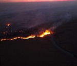 Первый в этом году пожар в Астраханском заповеднике выжег 850 га земли