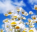 В среду в Астрахани начнется долгожданное похолодание