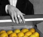 Депутаты приравняют оказание интим-услуг к взятке