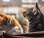 В Астрахани наступила осень