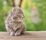 В понедельник Астрахань будет жарить и штормить