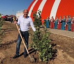 В Приволжском районе стартует масштабная кампания по озеленению