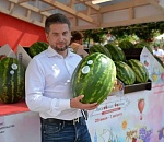 20 оттенков полосатого – Астрахань поставляет в Москву эксклюзивные арбузы