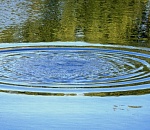 В Астраханской области утонула школьница