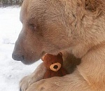 Вести с полей. Кто из новых депутатов Гордумы Астрахани не пропал с радаров