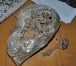 На астраханской границе служебный пес нашел в плацкарте героин