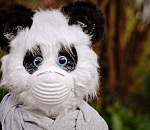 Количество заразившихся COVID-19 за сутки в Астрахани стремительно идёт на спад