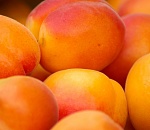 Пограничники не пустили в Астраханскую область 140 тонн контрабанды