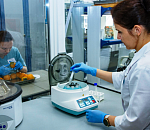 За год в прибывшей на территорию Астраханской области импортной продукции нашли пять карантинных видов