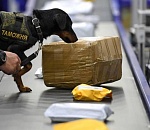 Астраханские таможенники пресекли контрабанду военной техники