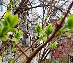 Завтра днем в Астраханской области еще на пару градусов потеплеет и должно обойтись без дождя