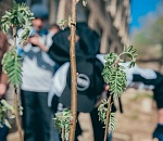  Благодаря совместному проекту ЛУКОЙЛа и АГУ в 12 астраханских школах появятся зеленые оазисы