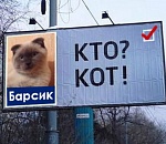 Не дельный обзор. В Астрахани трудно быть котом и партийным