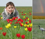 Астраханцев приглашают посмотреть на природное чудо