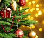 Место для главной новогодней елки в Астрахани определено