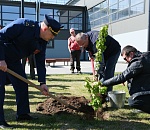 Аллею в рамках акции «Сад памяти» заложили в Камызяке