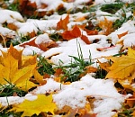 Какая погода ждет астраханцев в ноябре?