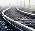 В Астраханской области поезд сбил лошадь