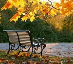 Бабьему лету в Астрахани таки быть