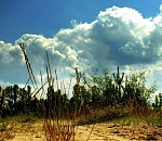 Воскресным днем астраханская погода устроит температурный рывок 