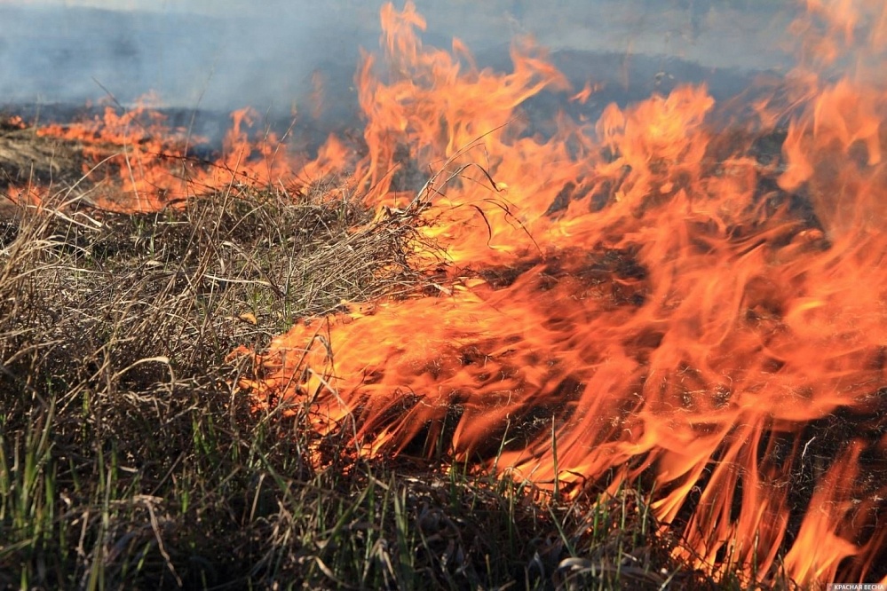 Астраханское МЧС предупреждает о чрезвычайной пожароопасности