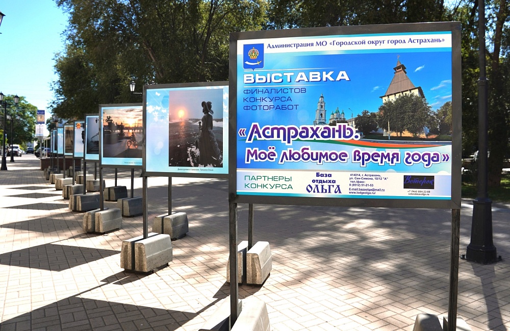 Астраханские сезонные пейзажи получили профессиональную оценку жюри