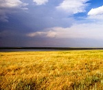 В Астраханской области вновь намечаются дожди, но без ливневого экстрима