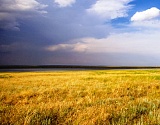 В Астраханской области вновь намечаются дожди, но без ливневого экстрима