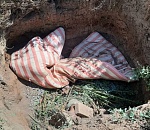 Житель Астраханской области, убивший и закопавший во дворе сожительницу, идет под суд