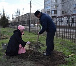 В Астрахани молодожены высадили аллею с фамильными табличками