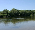 В Астраханской области фермер пожелал стать владычицей речной