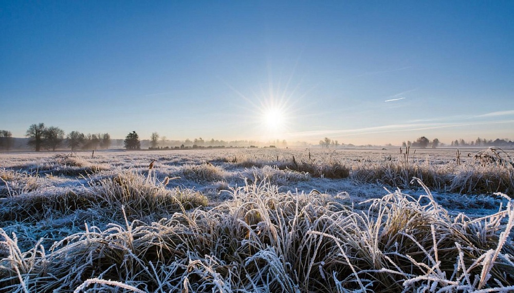 На Астраханскую область движется новая серия заморозков