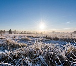 На Астраханскую область движется новая серия заморозков