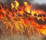 Под Астраханью снова горит камыш