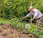 Астраханцам могут разрешить работать на своих дачах в условиях карантина