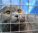 Астраханским пенсионерам продлили изоляцию до следующего года