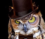 Успеть за 60 секунд. Программа «Что? Где? Когда?» родилась в магазине игрушек