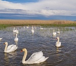 Астраханцы в шоке от космических цен на местный отдых