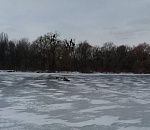 Трое молодых астраханцев отправились на рыбалку, но не вернулись: найдены их тела