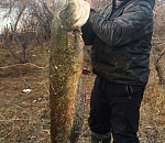 Астраханец не резал оливье 31 декабря, а пошел на рыбалку. И не зря