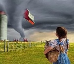 Домик Элли и Тотошки в опасности: завтра в Астрахани ветер до 20 м/с 