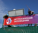 Астраханский заповедник объявил набор в волонтерскую экспедицию